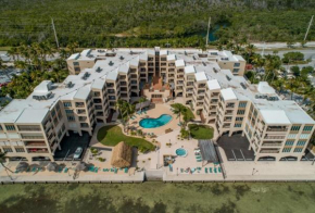 Palms 407